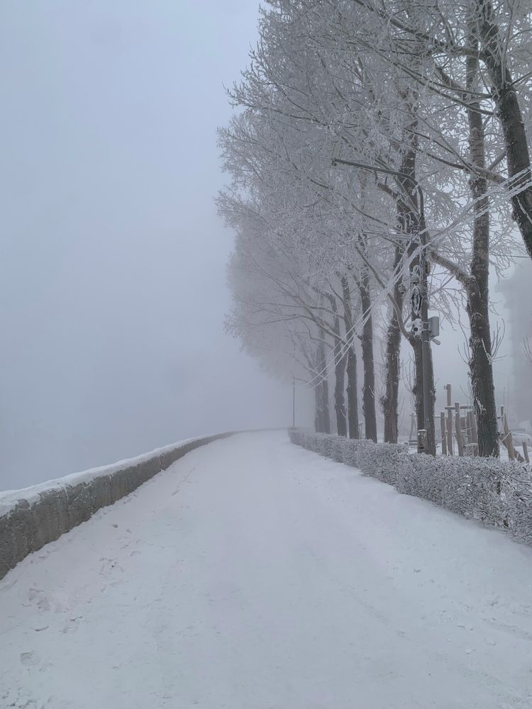 Photograph by Вячеслав