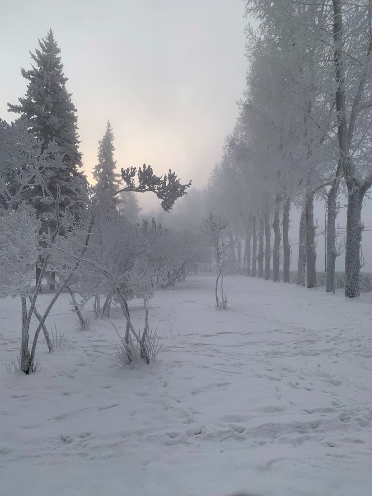 Photograph by Вячеслав