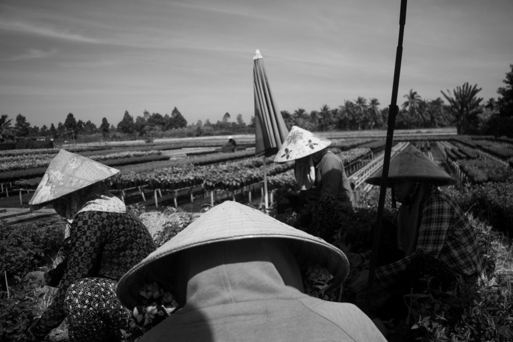 Photograph by Huy Hoang Do
