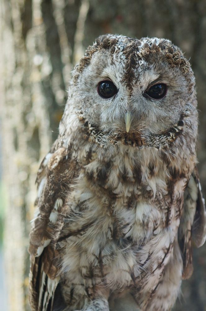 Photograph by Светлана Логинова