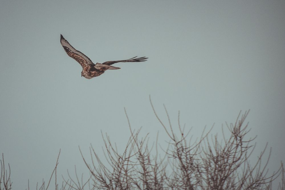 Фотография автора Kristina Shefer