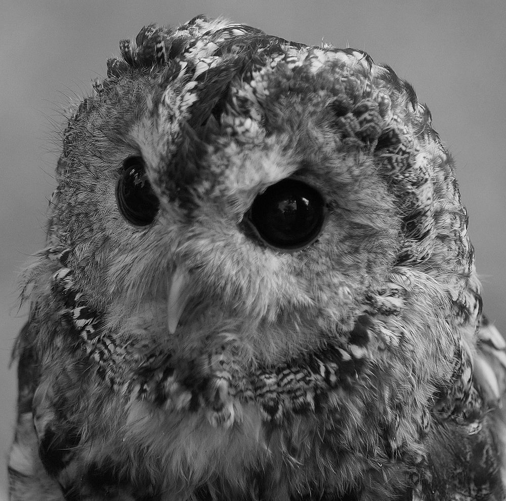 Photograph by Светлана Логинова