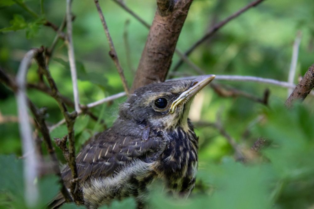Photograph by Оксана Леонтьева