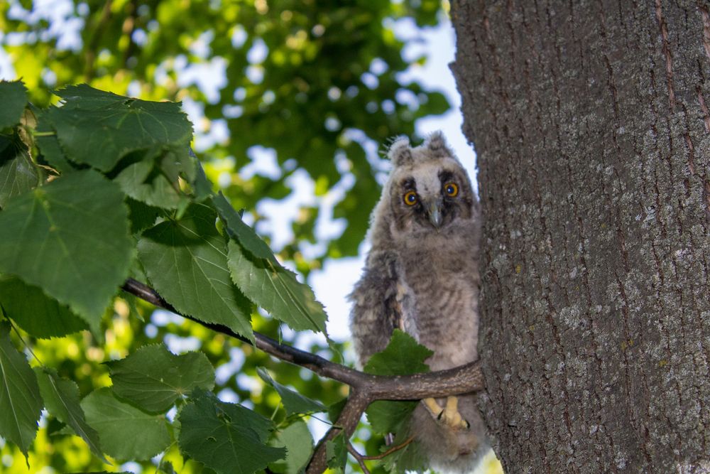 Photograph by Оксана Леонтьева