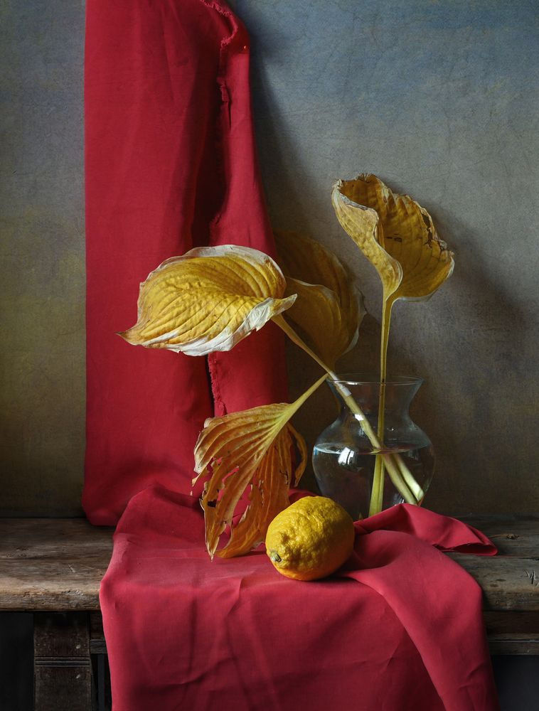 Photograph by Елена Виноградова