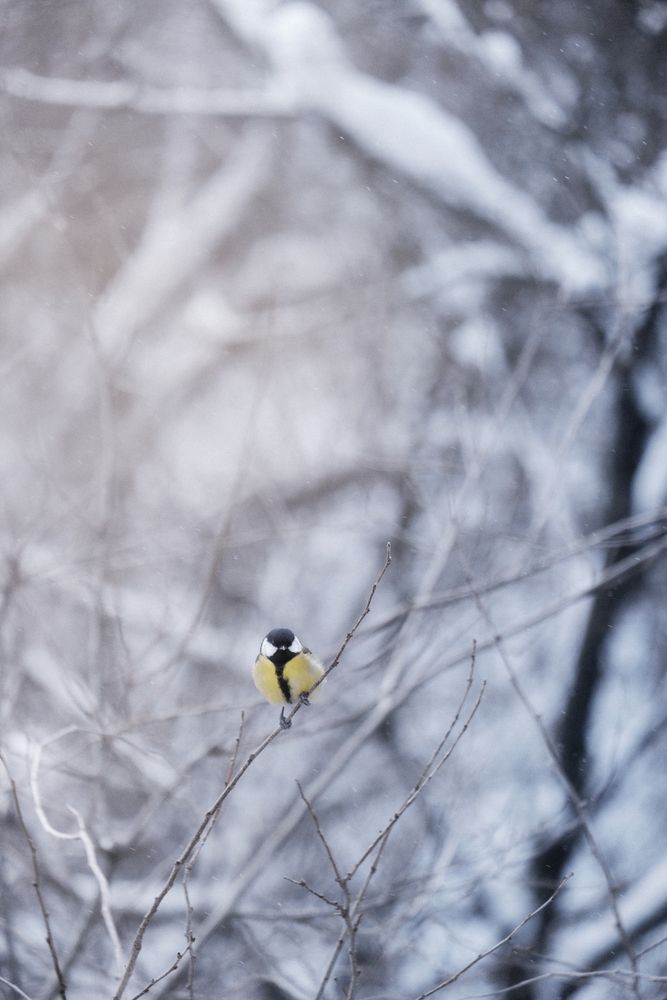 Photograph by Маруся Арбуа