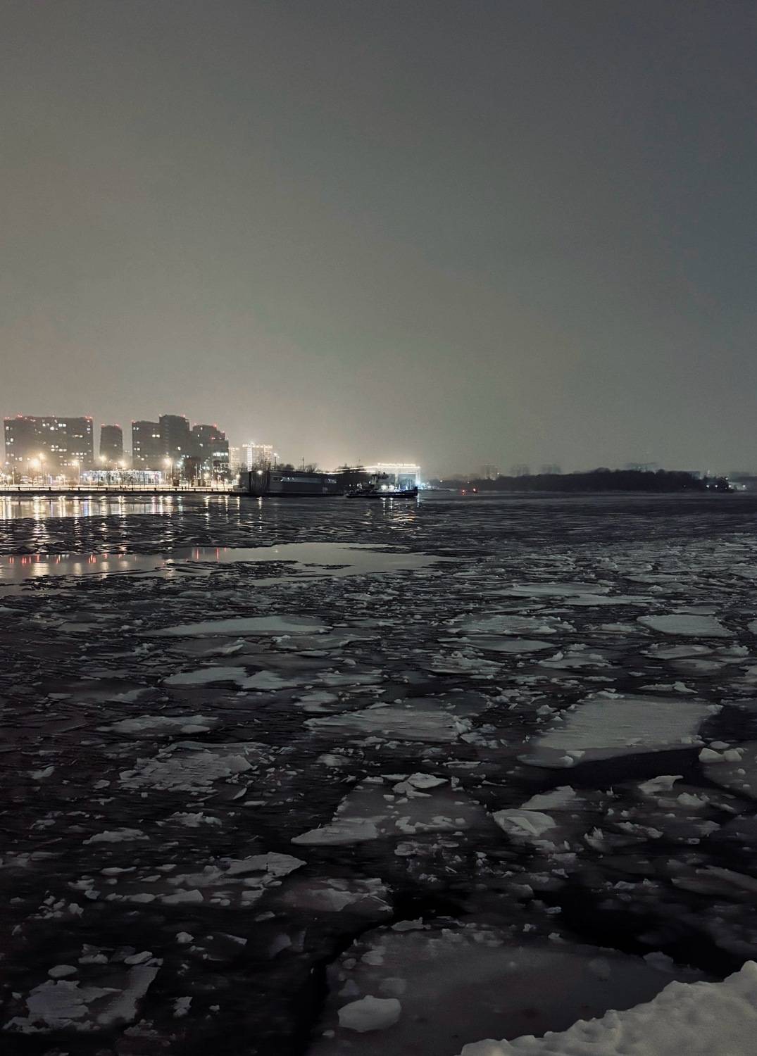 Photo #13115742