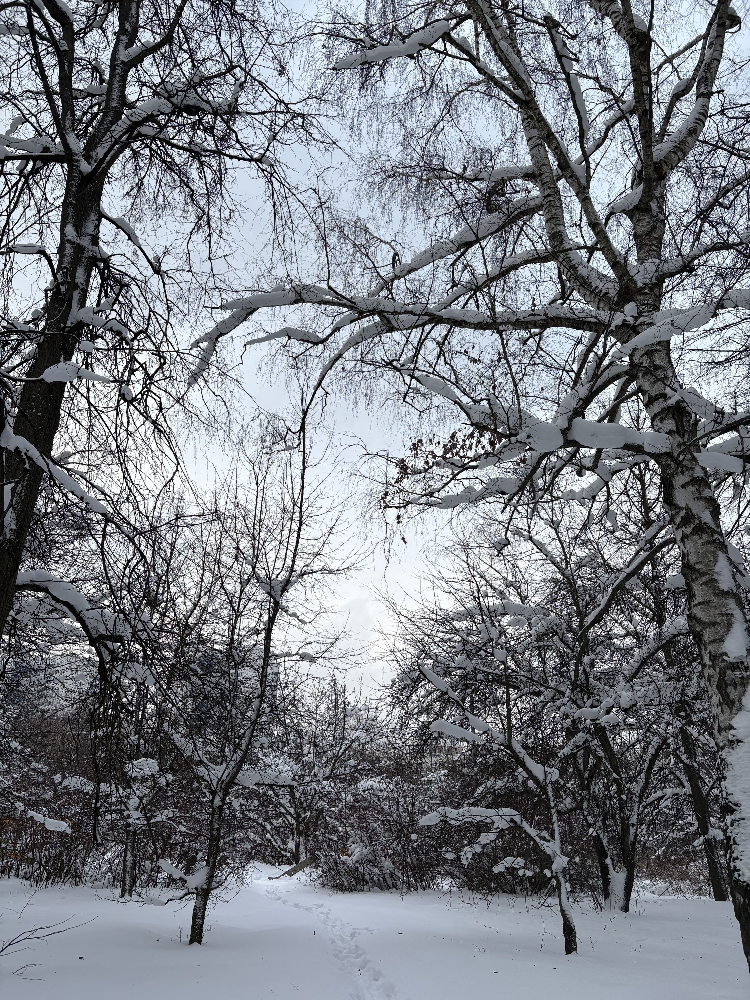 Photograph by Анна