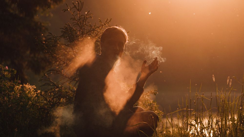 Инопланетный гость