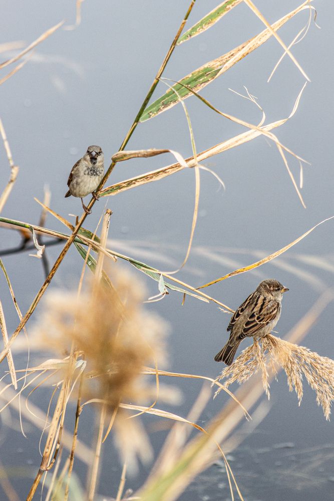 Photograph by Юлия Сысоева