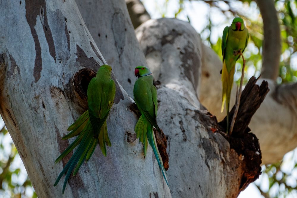 Photograph by Mike Sappojnikoff