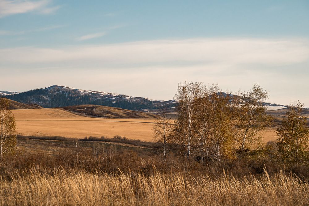 Photograph by Ирина Яук