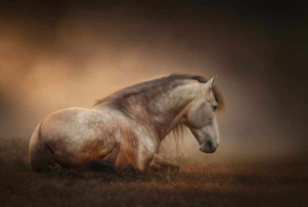 Photograph by Онучина Юлия