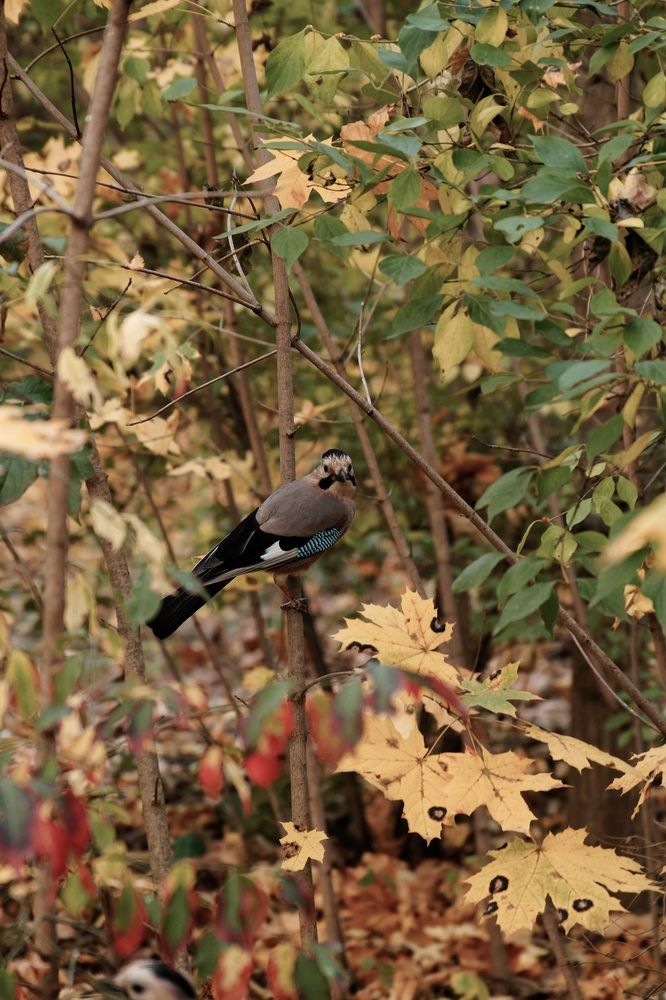 Фотография автора Margarita Teterkina