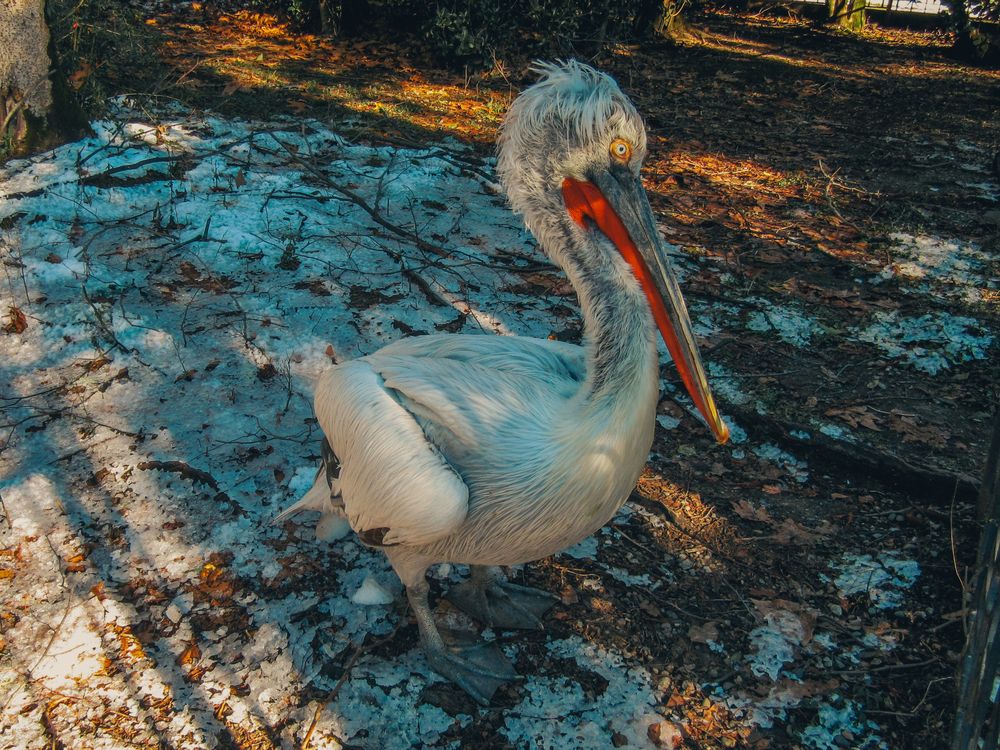 Photograph by Елена Буканина