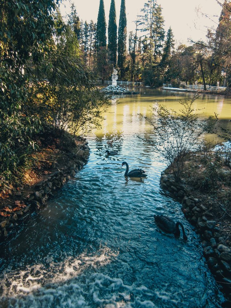 Photograph by Елена Буканина
