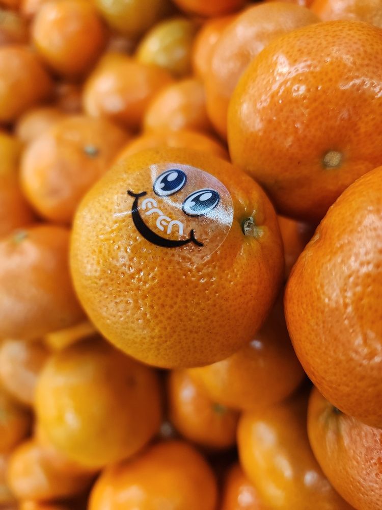 Photograph by Алёна Притула