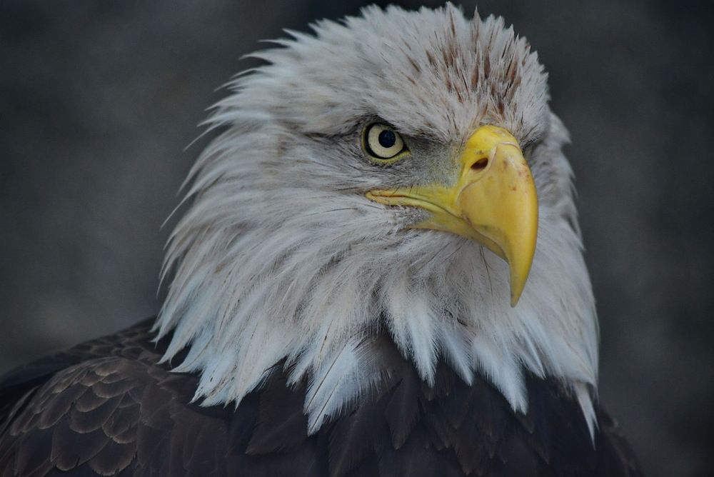 Photograph by Анастасия Смирнова