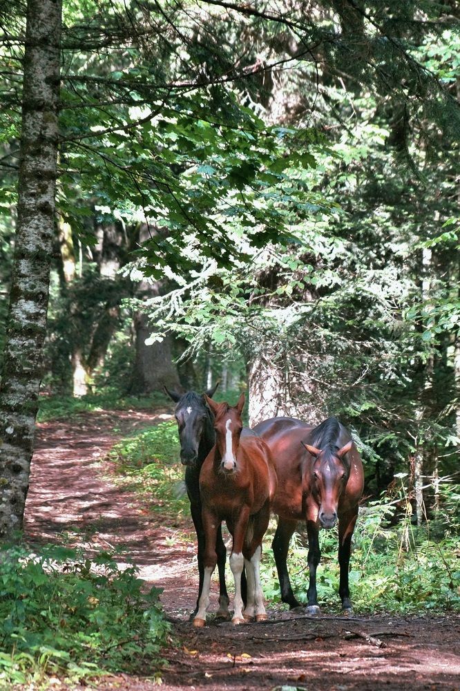 Фотография автора Margarita Teterkina