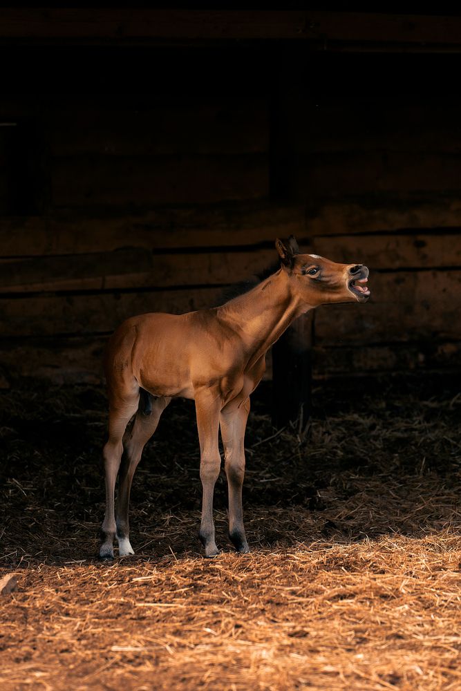 Мама, ты где?