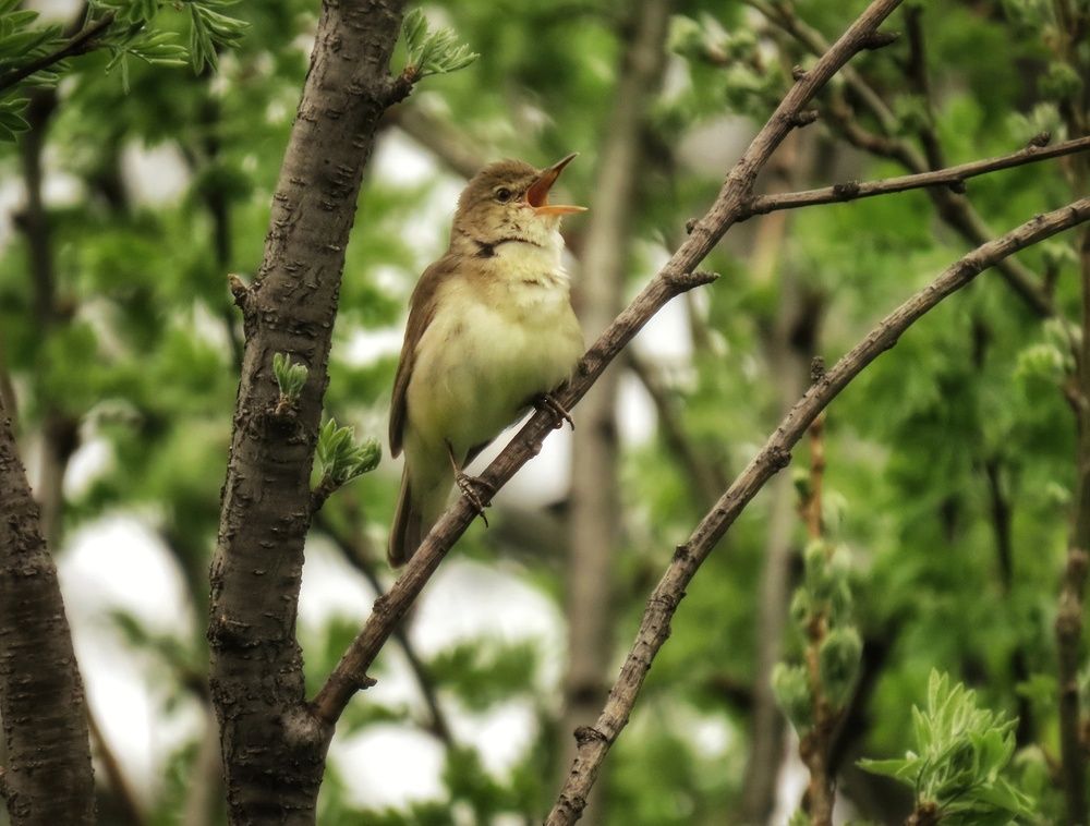 Photograph by Екатерина Солохина