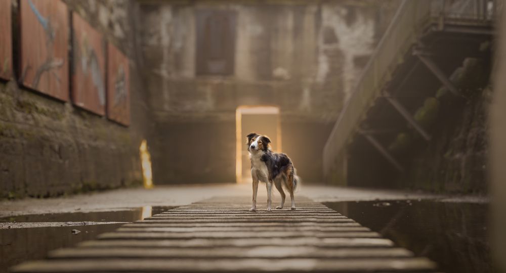 Photograph by Annemarie Visser