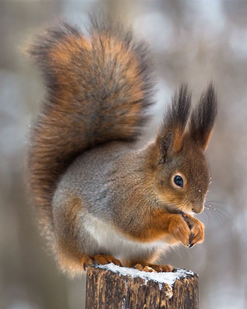 Photograph by Алексеев Сергей
