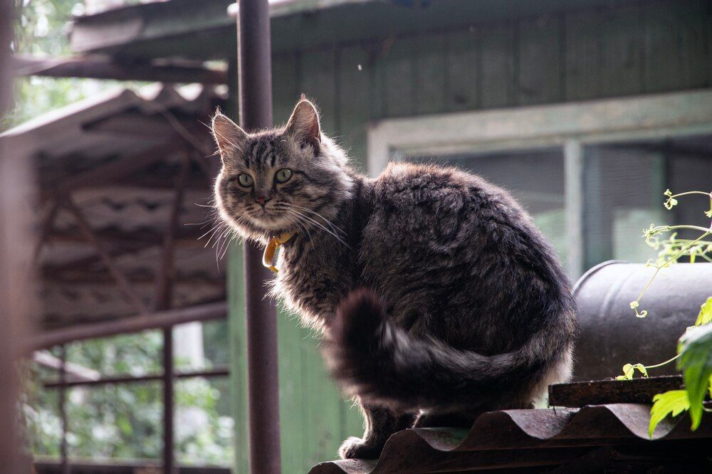Photograph by Татьяна Ефимова