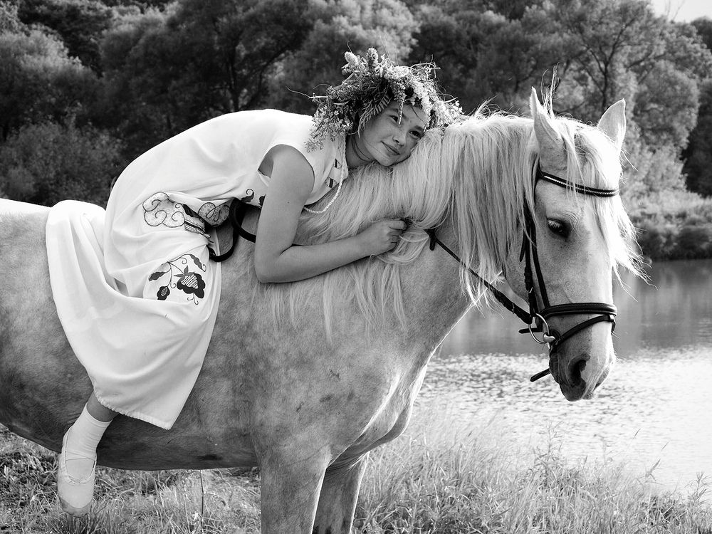 Любимая лошадь.