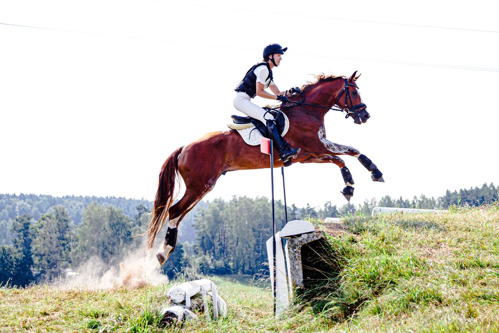 Photograph by Ника Прокопенко