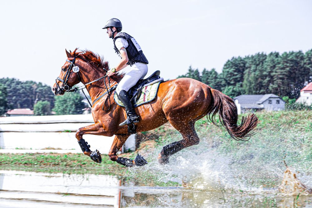 Photograph by Ника Прокопенко