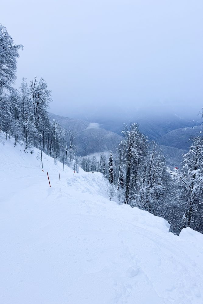 Photograph by Misha Khazov