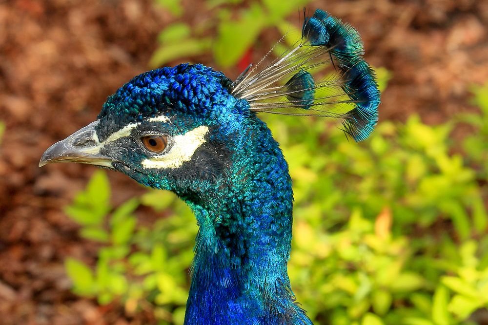 Фотография автора Светлана Долотова