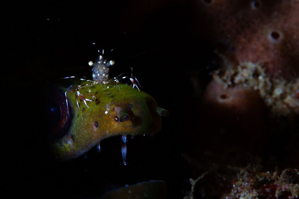Photograph by Christian Pälchen