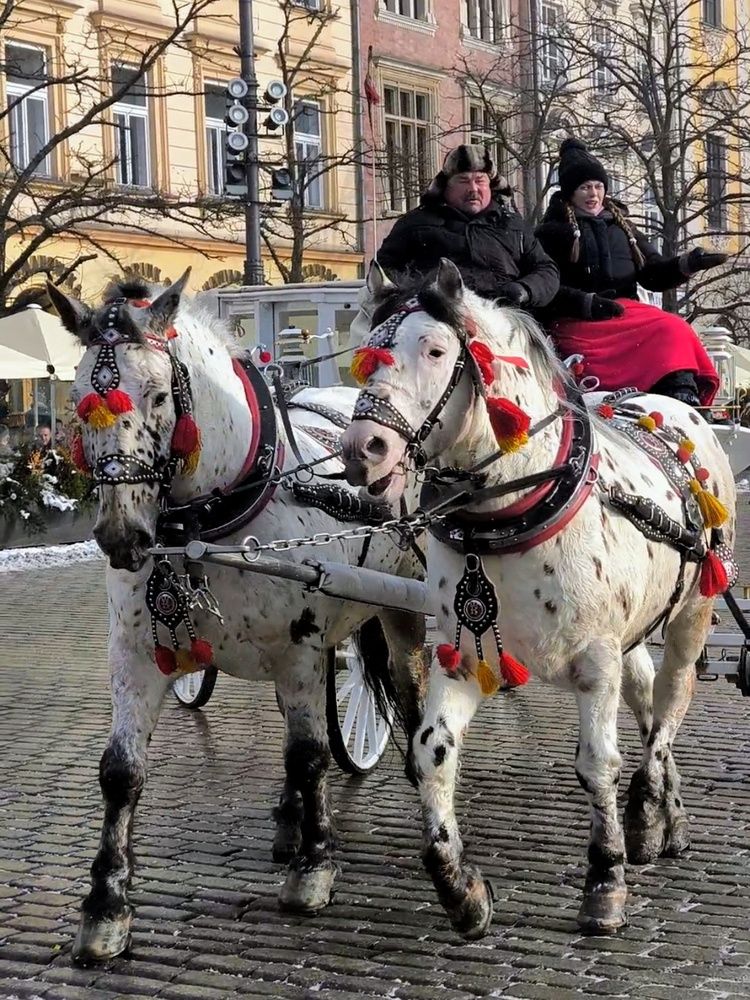 Фотография автора Татьяна Яцкевич