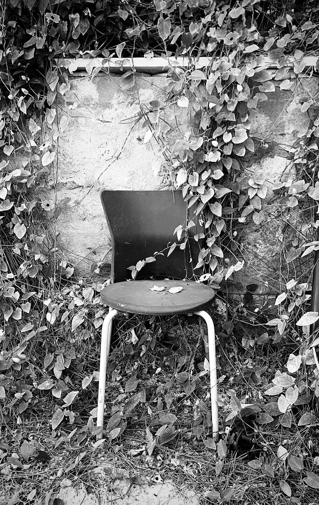 Photograph by Ольга Забрянская