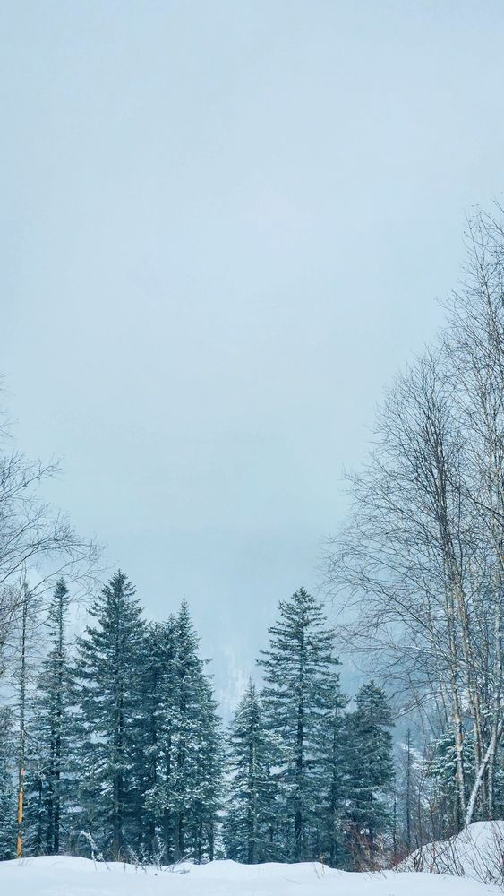 Photograph by Lyolka Gym