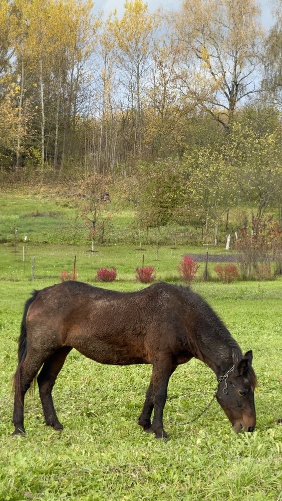 Photograph by Сергей Аверченко