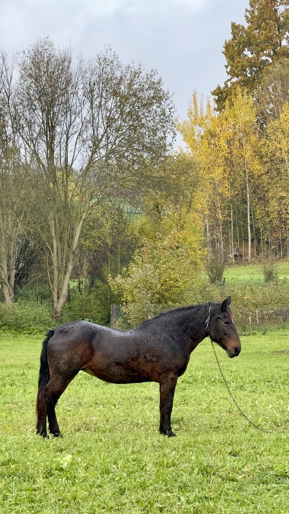 Photograph by Сергей Аверченко