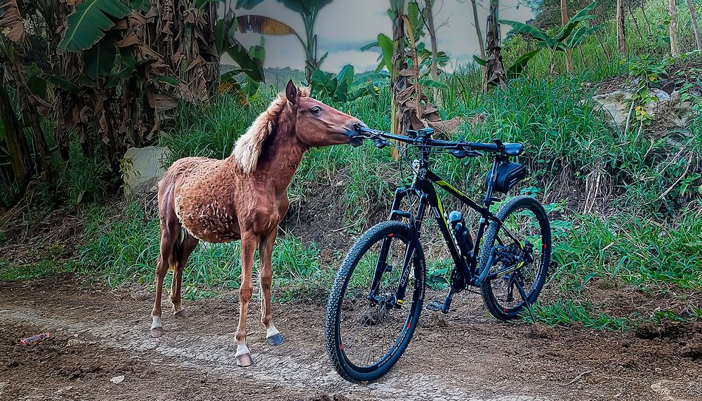 Photograph by EFREN VICTORINO