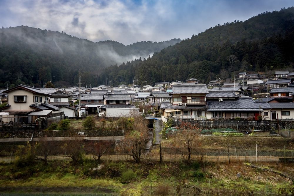 Quiet Morning in the Japanese Countryside