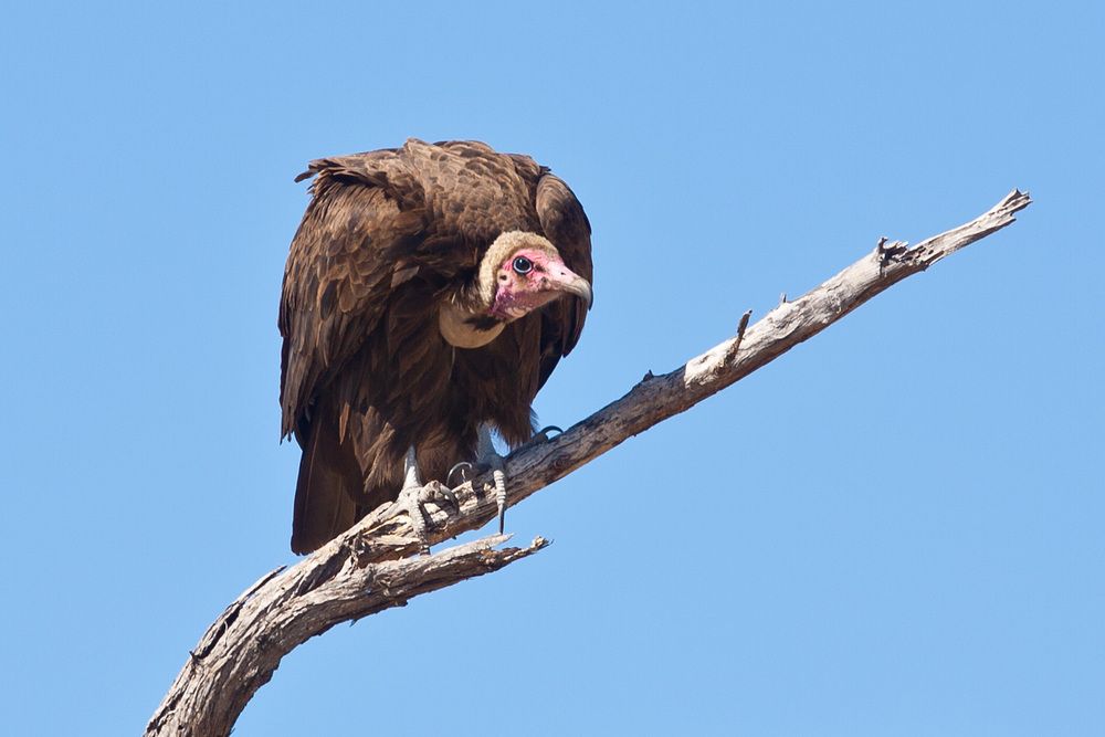 Photograph by Александр Журавлев