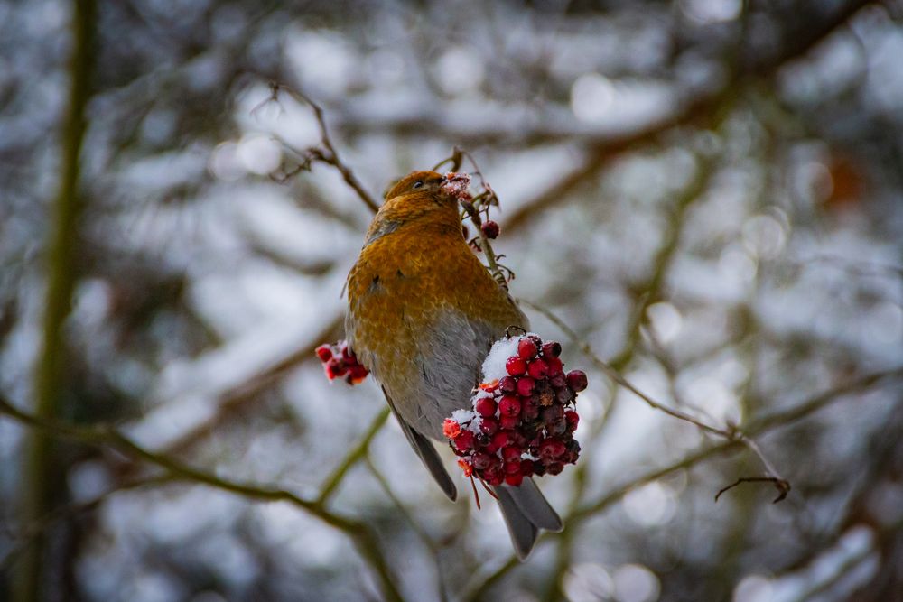 Photograph by Pavel Gukov