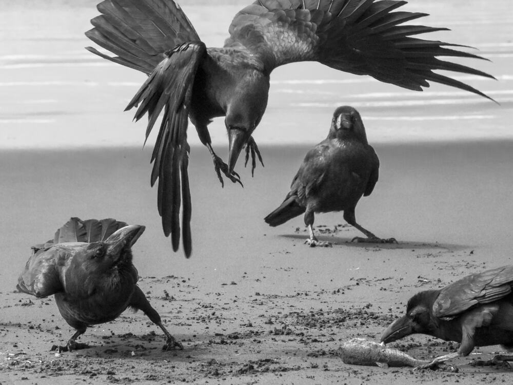 Photograph by Вячеслав ИВАНОВ