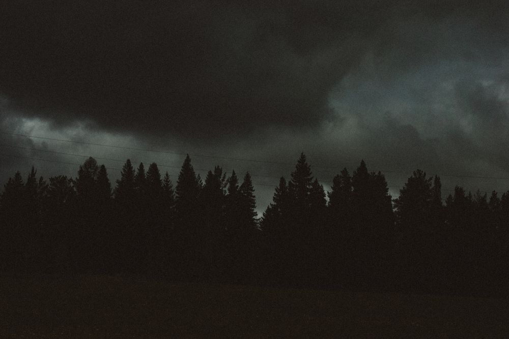 Фотография автора Никита Зубов