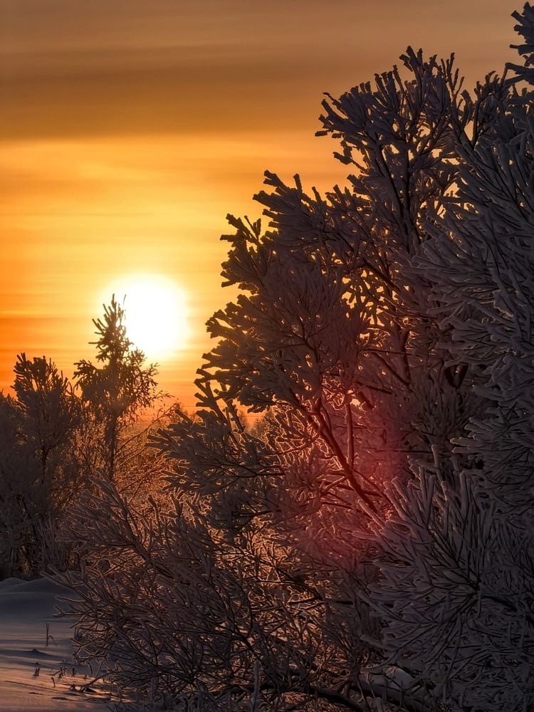 Photograph by Татьяна Двойченкова