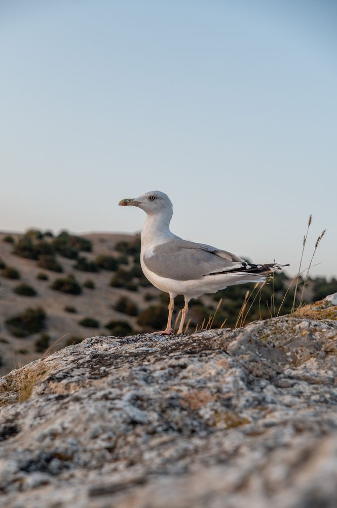 Photograph by Иван Губский