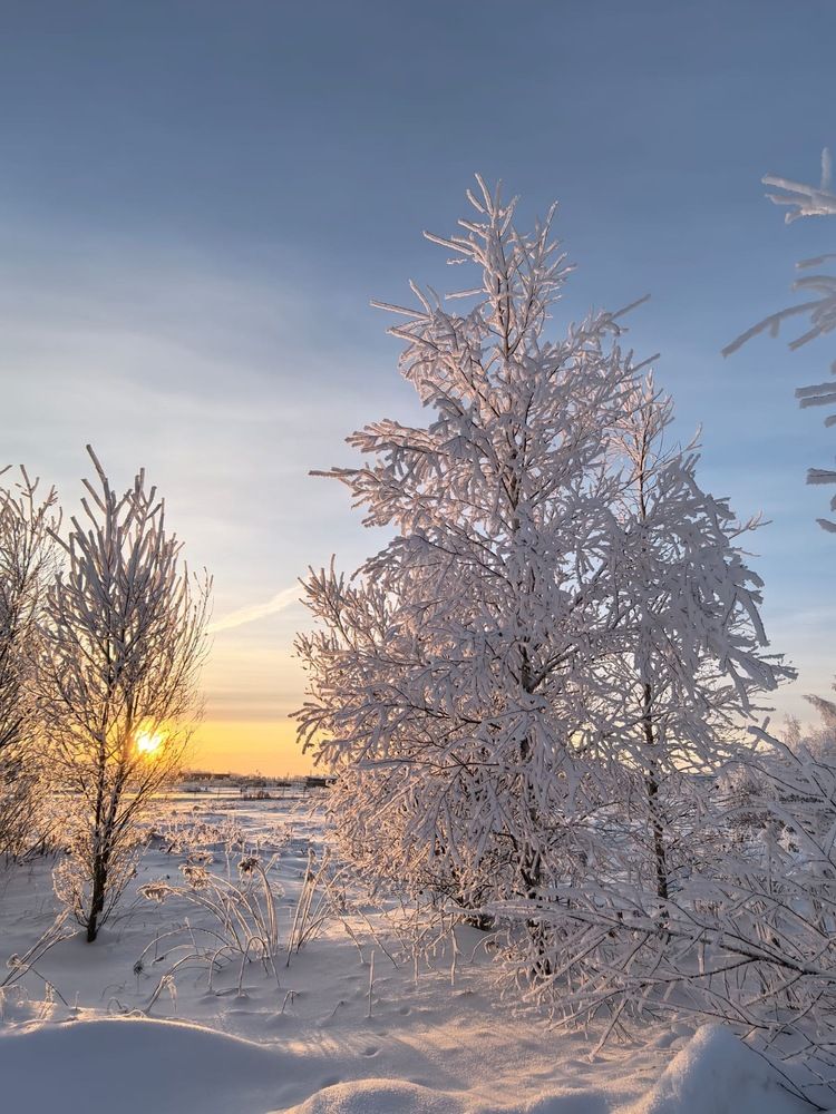 Photograph by Татьяна Двойченкова