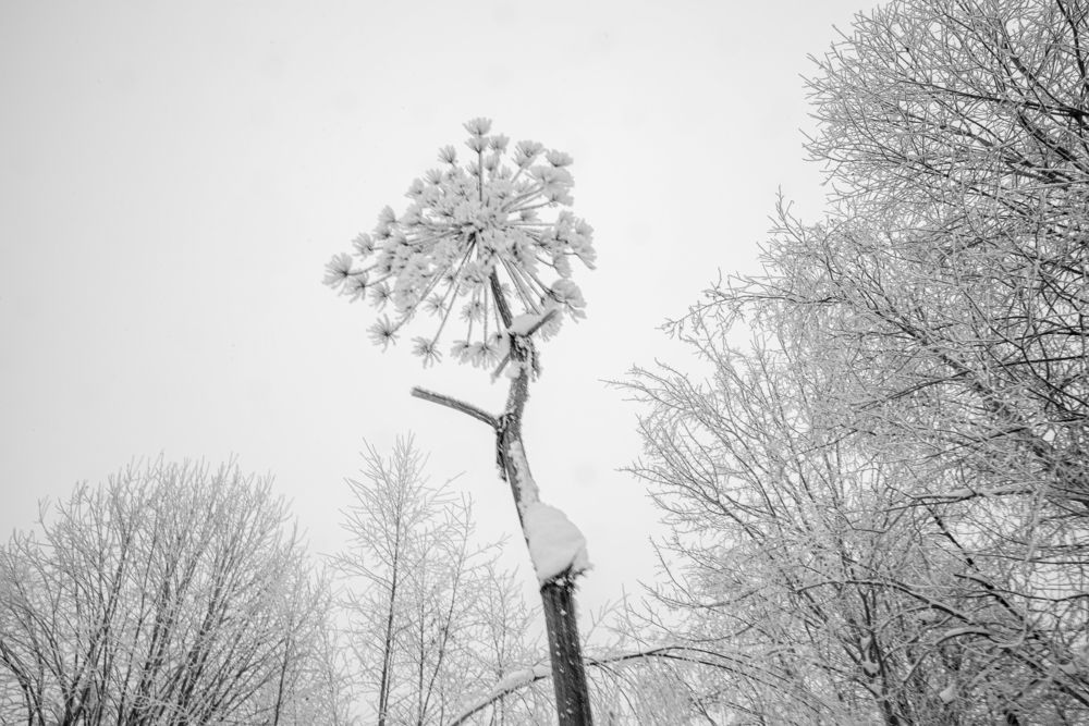 Фотография автора Елена Данченко
