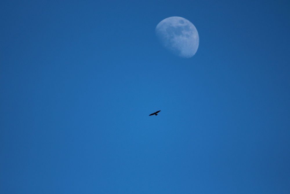 Photograph by Александра